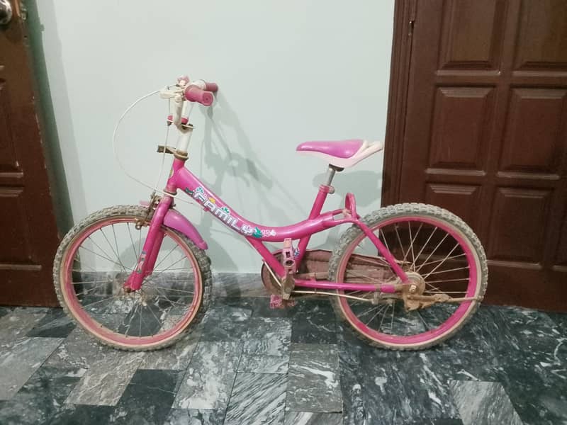 bicycle 0
