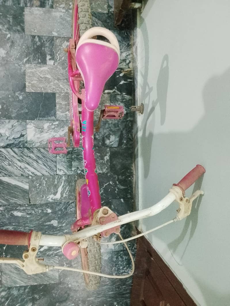 bicycle 1