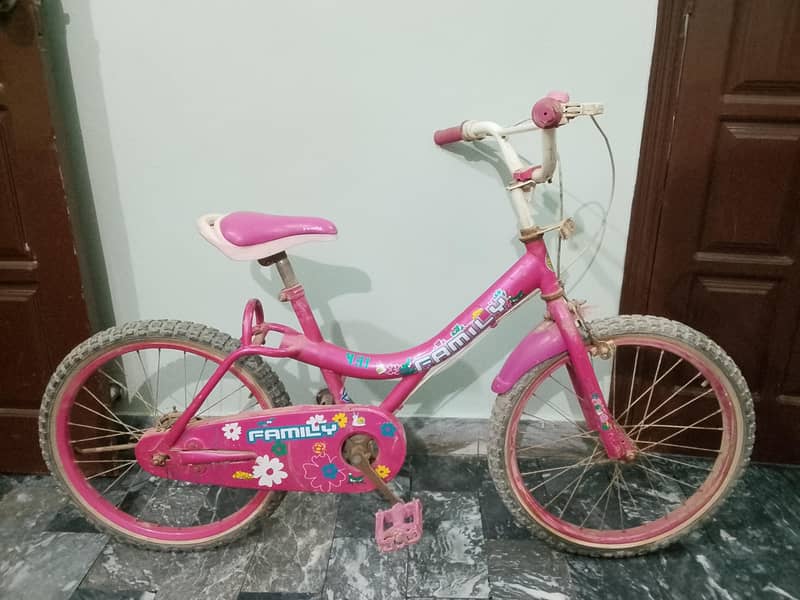 bicycle 2