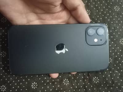 Apple iPhone 12