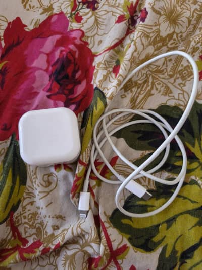 iPhone 13pro max charge