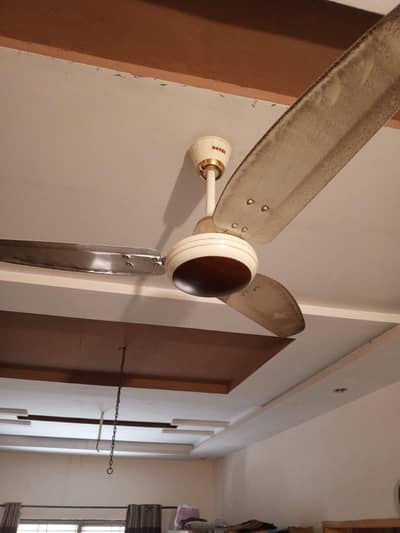 Royal Fan 56" Dia