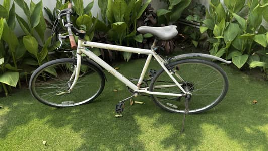 Graphis gr-001 bicycle