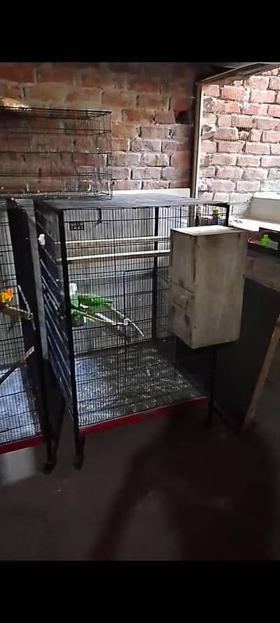 cage for sale