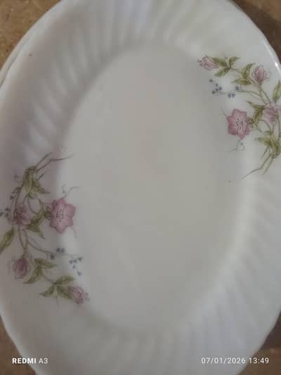 rice dishes set of 2