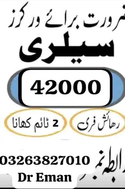 need urgent staff biscuits packing factory jobs available in lahore