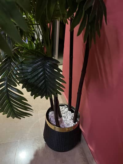 indoor artificial plant