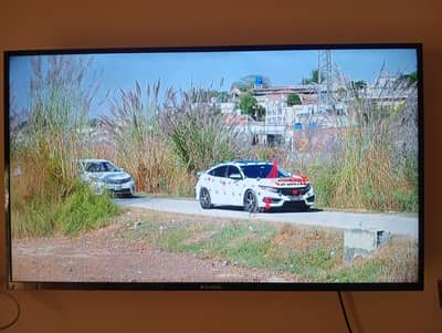 EcoStar 49" LED TV | Full HD | 9/10 Condition | Only Rs. 30,000