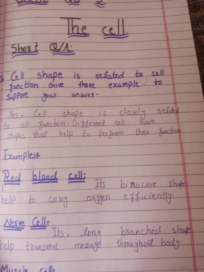 Assignment writing