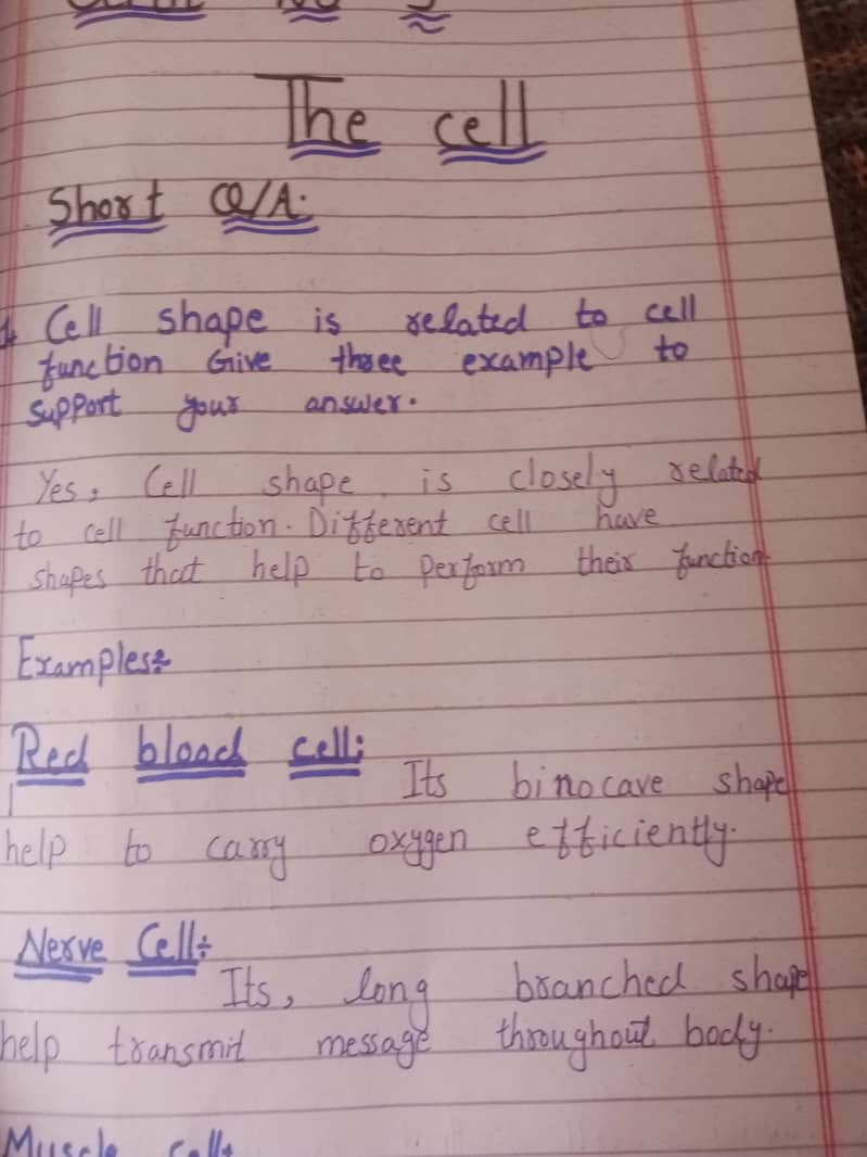 Assignment writing 0