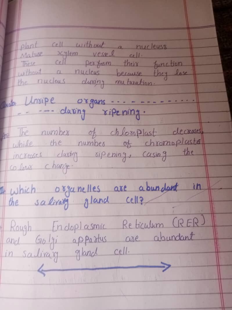 Assignment writing 1