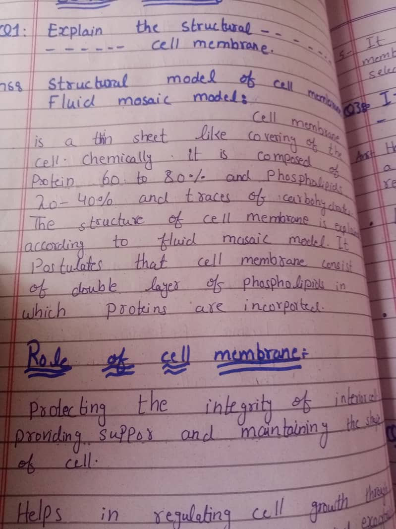 Assignment writing 2