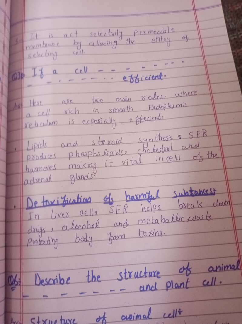 Assignment writing 3