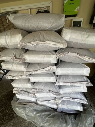 FH 333 Cotton Seed (Rs 1,250 / kg)