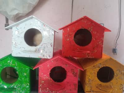 birds box makers rachna town Lahore shadarah.
