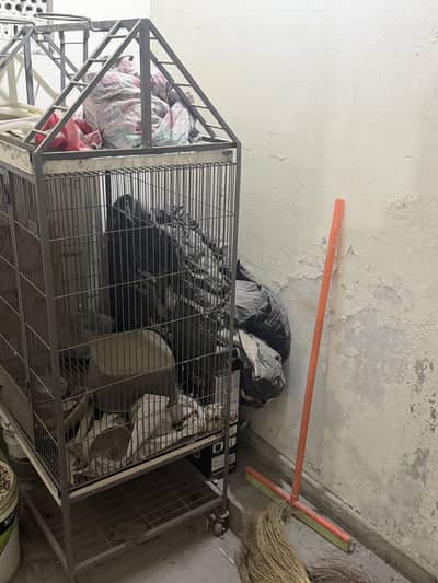 Cage
