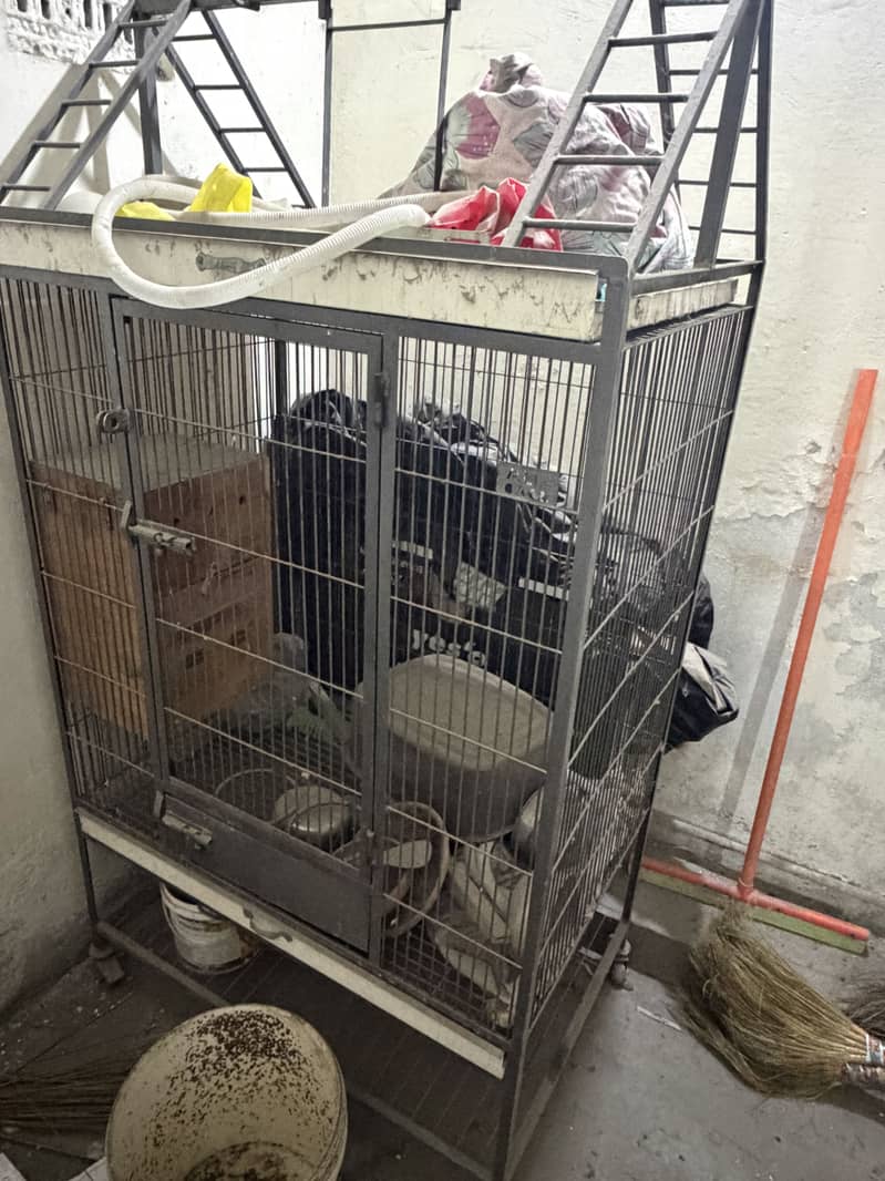 Cage 1