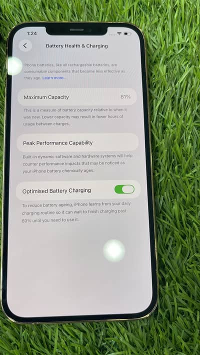 Apple iPhone 12 Pro Max