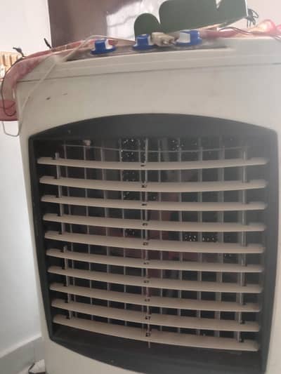 12 volte cooler for sale