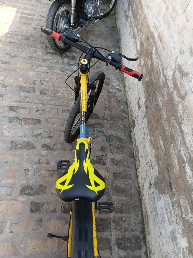 Important bicycle 4