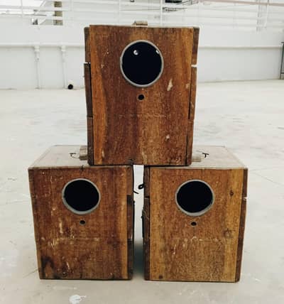 LOVEBIRD KEEKAR BOX