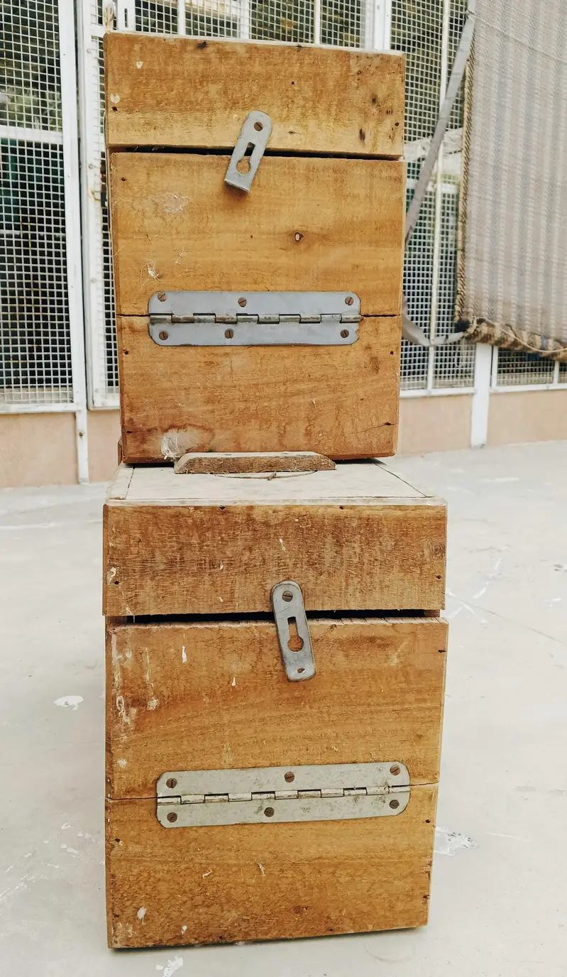 LOVEBIRD KEEKAR BOX — photo 4