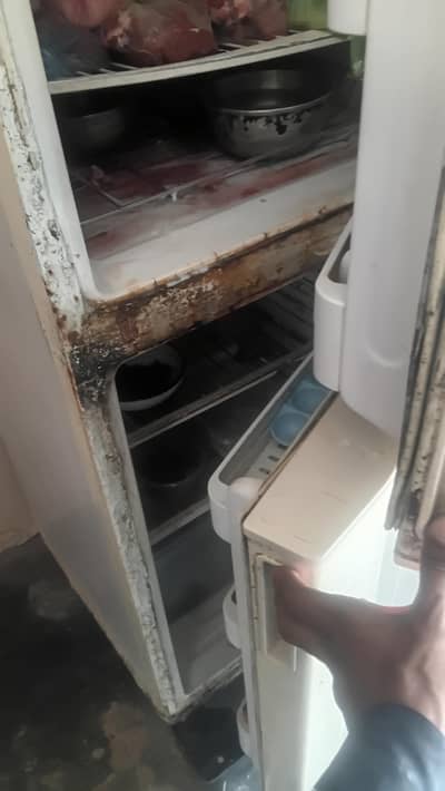 Haier Refrigerators