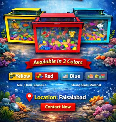 Warsi fish aquarium