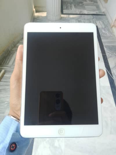 apple mini