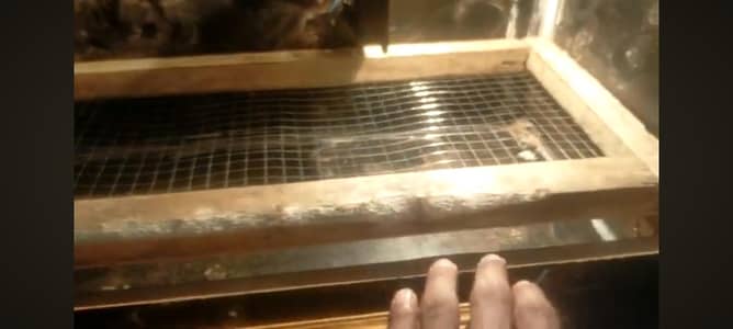 egg wali machine