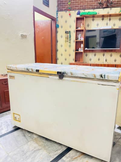 waves deep freezer jumbo size