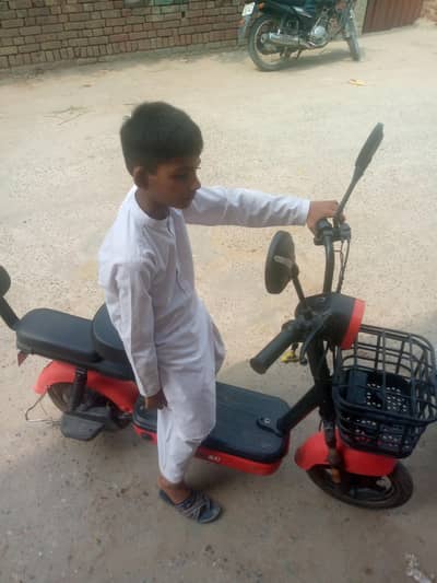 Evee flipper scooty 03014356500 whats apps