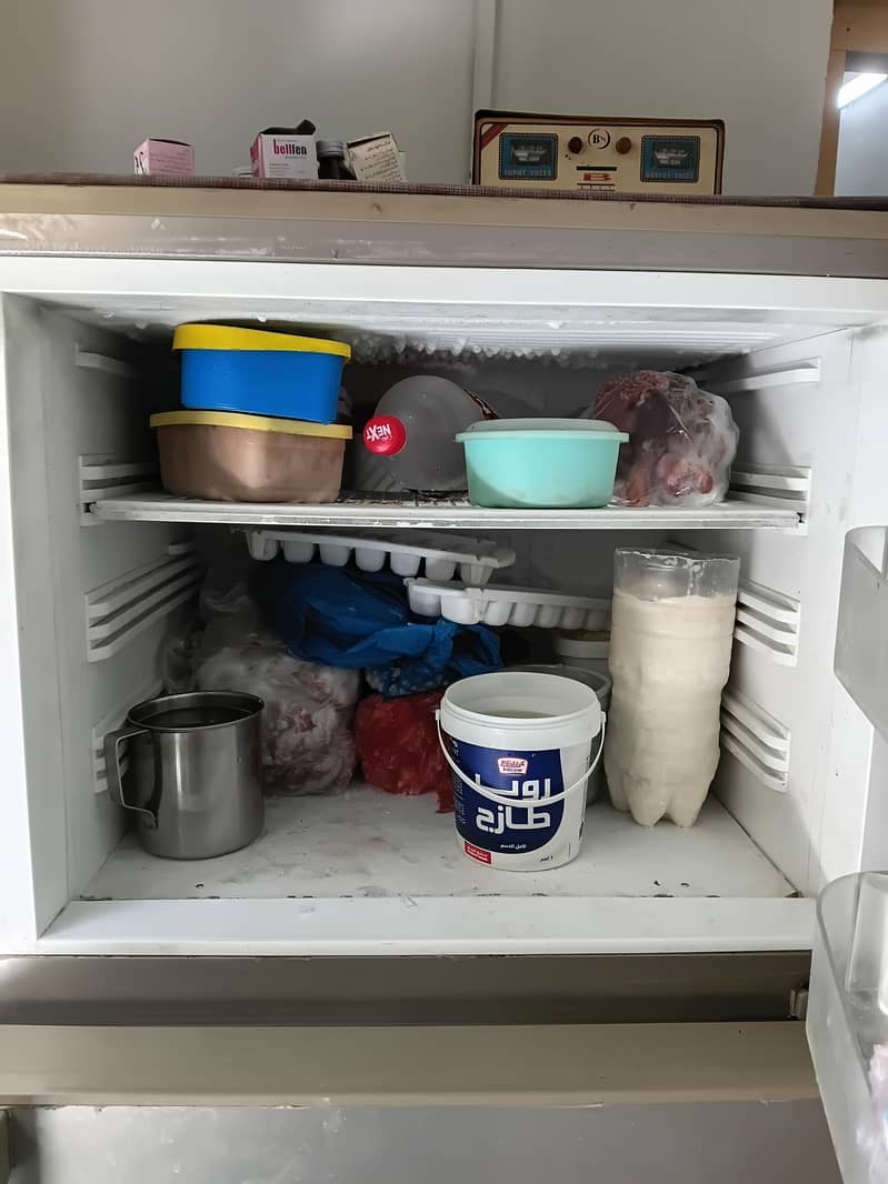 pel fridge 1
