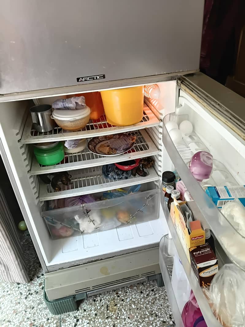 pel fridge 2
