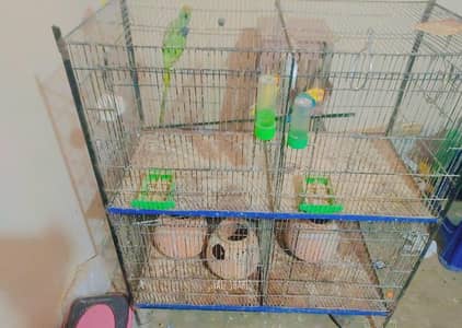 bird cage