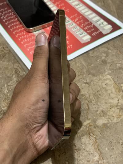 Apple iPhone 12 Pro Max