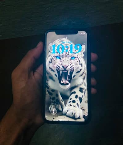 Apple iPhone 11 bypassed