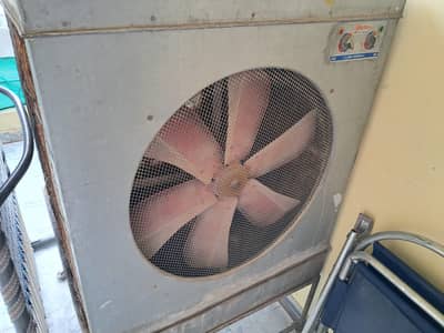 Used Lahoree Cooler