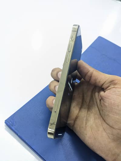 Apple iPhone 12 Pro