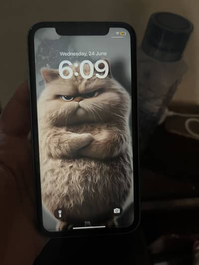 Apple iPhone XR no pta