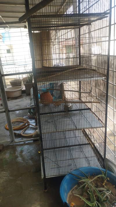 Big Cage for Breading