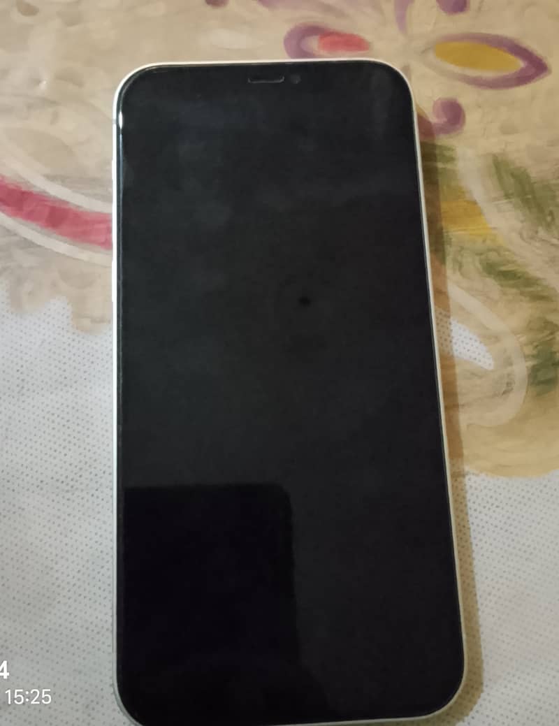 iPhone 12 0