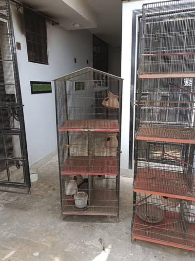 cages