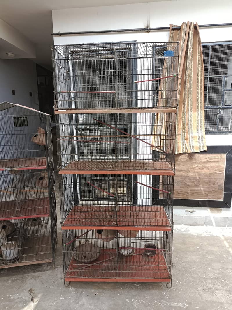 cages 1