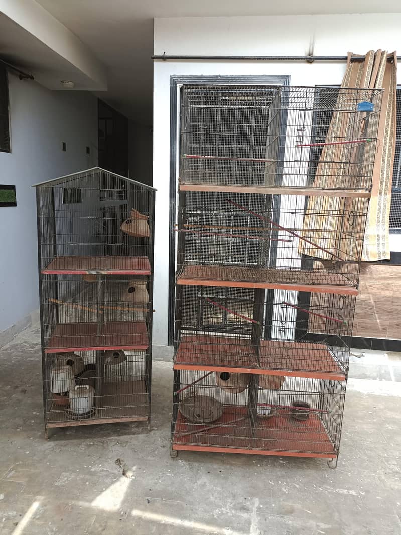 cages 2
