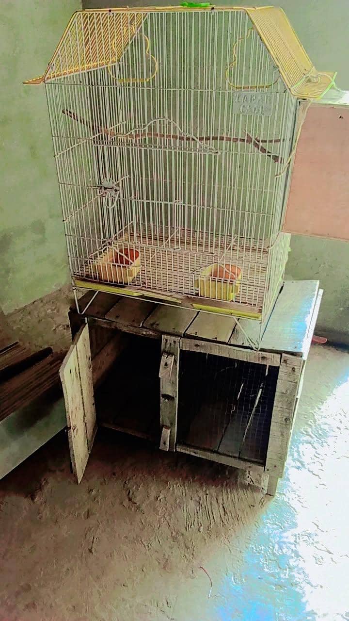 cages 1