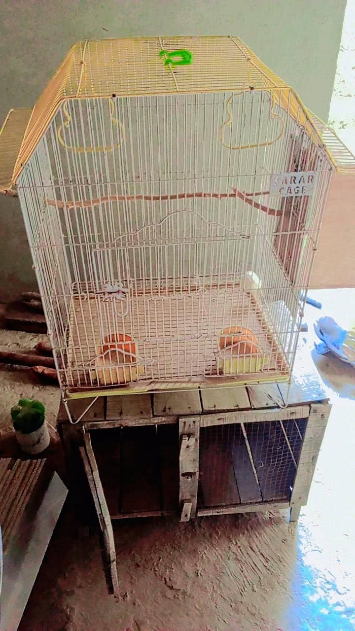 cages 2