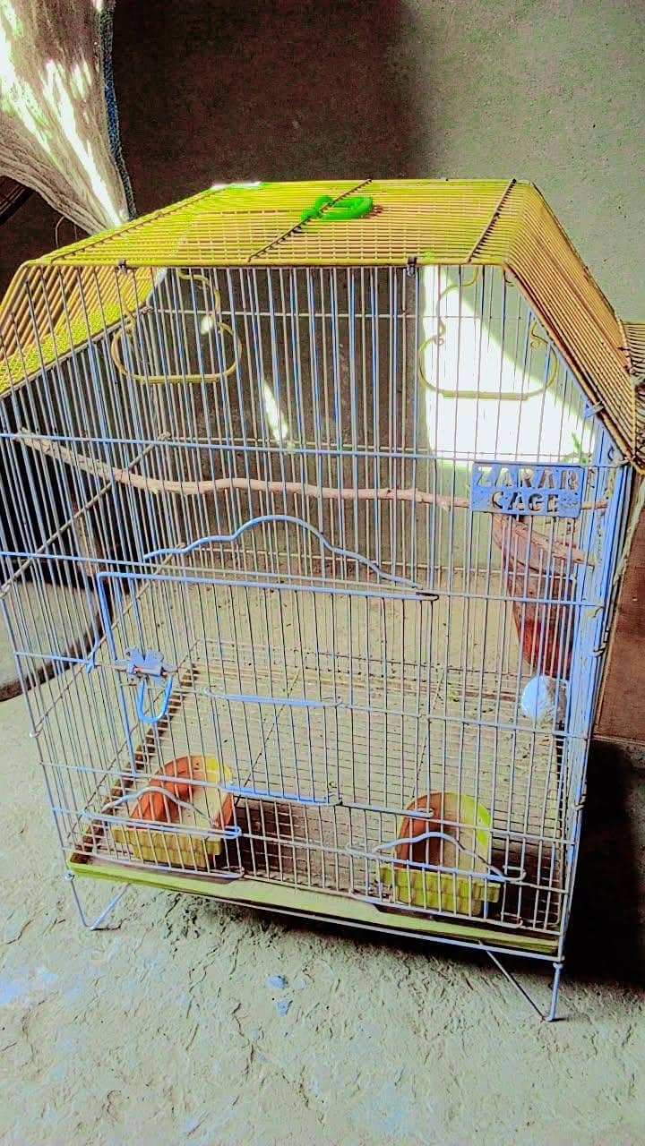 cages 3