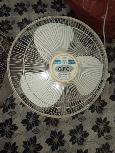 Fan 03229191557
