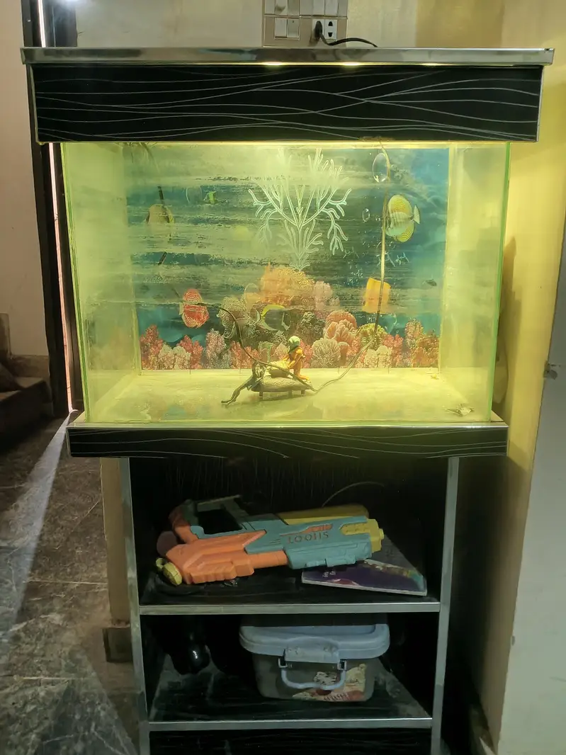 Fish Aquarium In Good Ccondition — photo 4